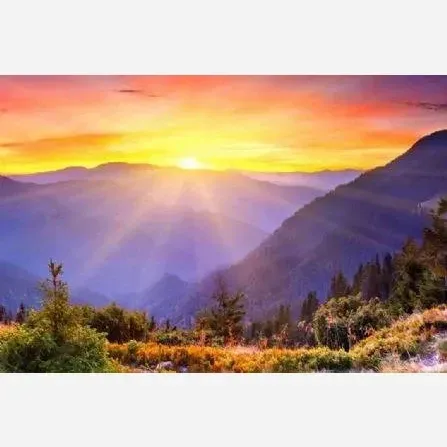 ست براش آرایش چشم 3 عددی