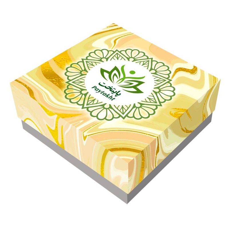 گوشواره زنانه پایتخت مدل PS1079 ایرکراس
