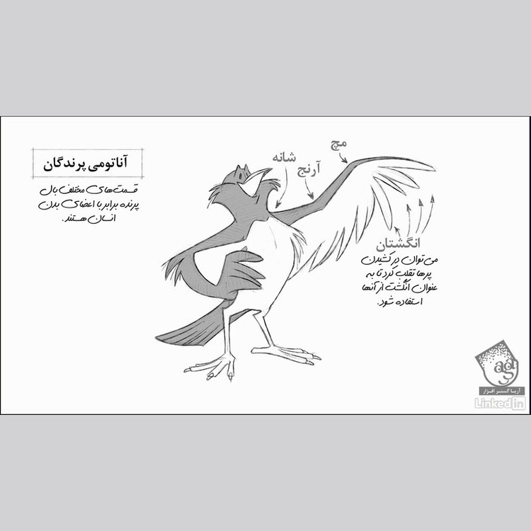 نرم افزار آموزش صفر تا صد انیمیشن سازی دو بعدی پک 4 آموزش استوری برد ، بریک دان و تامبنیل ، آموزش انیمیشن پرندگان ، م...