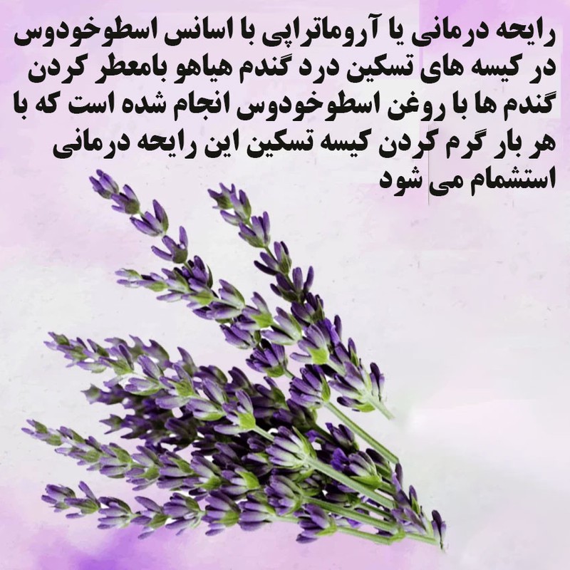 کیسه تسکین درد هیاهو مدل آروماتراپی اسانس اسطوخودوس کد Wheat-30x25