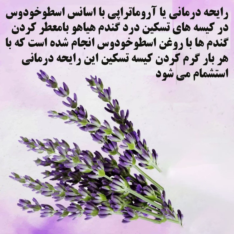 کیسه تسکین درد هیاهو مدل آروماتراپی اسانس اسطوخودوس کد Wheat-15x15-C
