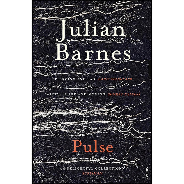 کتاب Pulse اثر Julian Barnes انتشارات Vintage Books