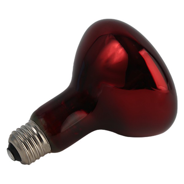 لامپ مادون قرمز 250 وات مصباح مدل R125-IR-250W-E27-RED پایه E27