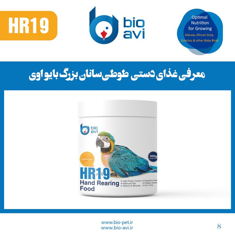 غذای کمکی طوطی سانان بایو اوی مدل HR19 وزن 500 گرم