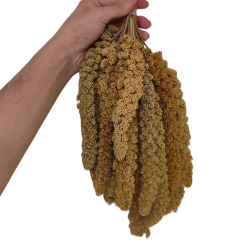غذای پرنده مدل ارزن خوشه ای کد 0100 بسته 100 عددی وزن 1200 گرم